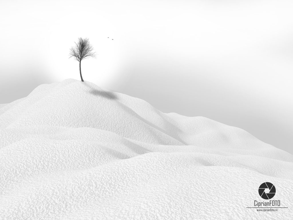 Learn How To Create A Minimalist Winter Landscape In Photoshop CC 2021